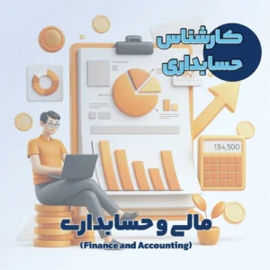 کارشناس حسابداری