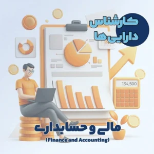 کارشناس دارایی ها