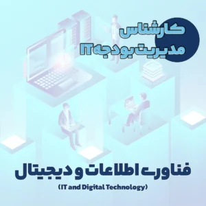 کارشناس مدیریت بودجه IT