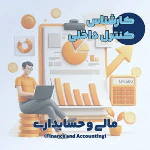 کارشناس کنترل داخلی